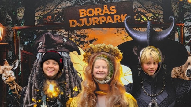 Vilken lördag i Borås!